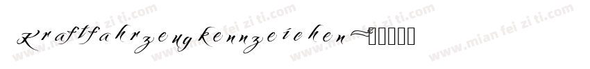Kraftfahrzeugkennzeichen字体转换