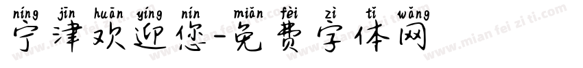 宁津欢迎您字体转换