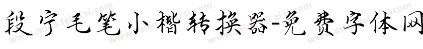 段宁毛笔小楷转换器字体转换