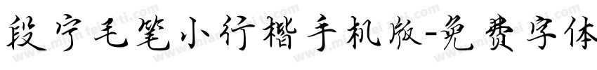 段宁毛笔小行楷手机版字体转换