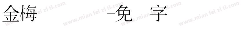 金梅简体国际字体转换