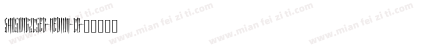 Shusung2CSEG-Medium-CB字体转换