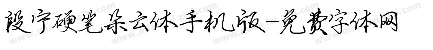 段宁硬笔朵云体手机版字体转换