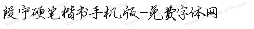 段宁硬笔楷书手机版字体转换
