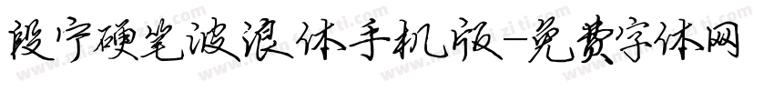 段宁硬笔波浪体手机版字体转换
