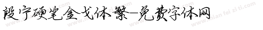 段宁硬笔金戈体繁字体转换