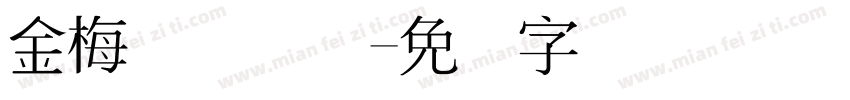 金梅简体国际字体转换