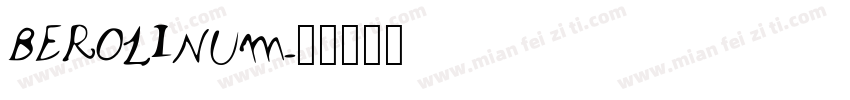 BEROLINUM字体转换