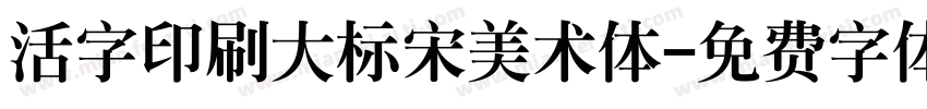 活字印刷大标宋美术体字体转换