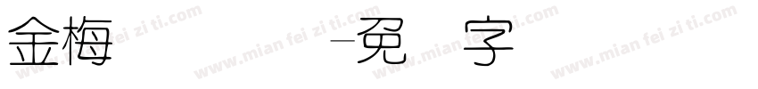 金梅简体国际字体转换