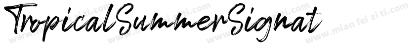 TropicalSummerSignat字体转换
