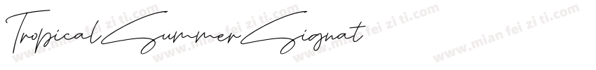 TropicalSummerSignat字体转换