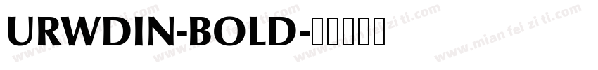 URWDIN-BOLD字体转换