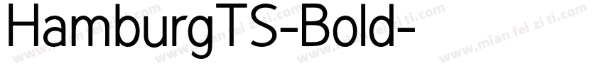 HamburgTS-Bold字体转换
