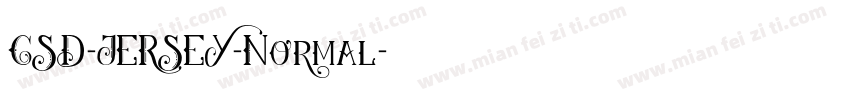 CSD-JERSEY-Normal字体转换