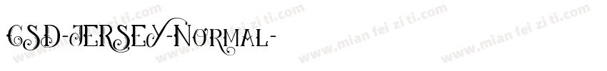 CSD-JERSEY-Normal字体转换