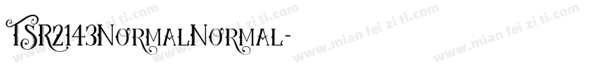 TSR2143NormalNormal字体转换