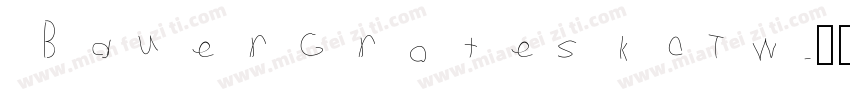 BauerGroteskOTW字体转换