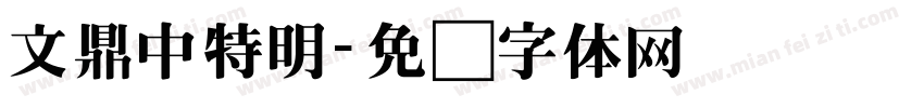 文鼎中特明字体转换