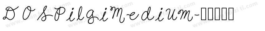 DOSPilgiMedium字体转换
