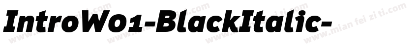IntroW01-BlackItalic字体转换