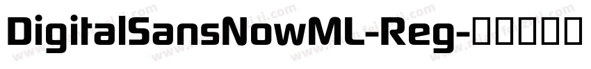 DigitalSansNowML-Reg字体转换