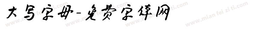 大写字母字体转换