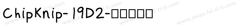 ChipKnip-19D2字体转换