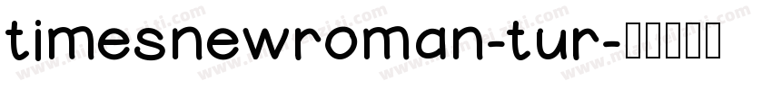 timesnewroman-tur字体转换