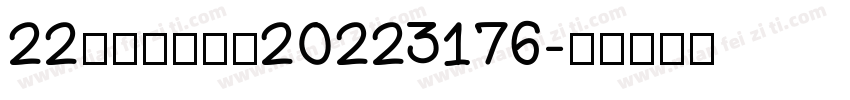 22化工一班张晴20223176字体转换
