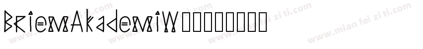 BriemAkademiW00字体转换