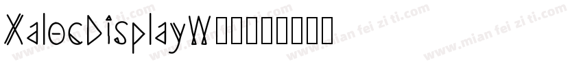 XalocDisplayW00字体转换