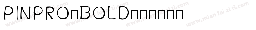 PINPRO-BOLD字体转换
