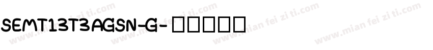 SEMT13T3AGSN-G字体转换