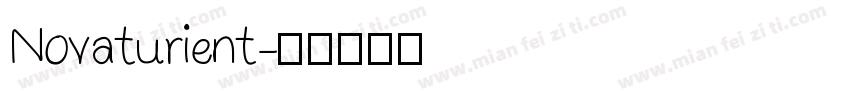 Novaturient字体转换