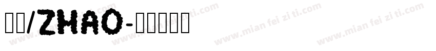慧汐/ZHAO字体转换