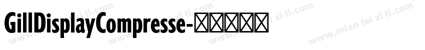 GillDisplayCompresse字体转换