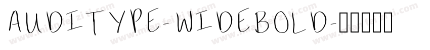 AUDITYPE-WIDEBOLD字体转换