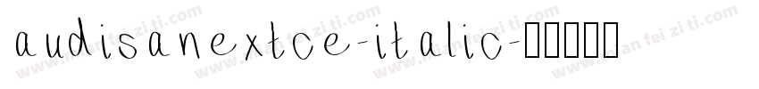 audisanextce-italic字体转换