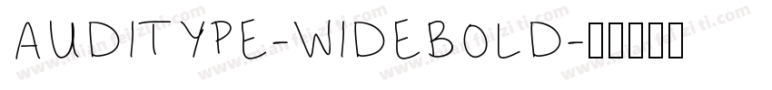 AUDITYPE-WIDEBOLD字体转换