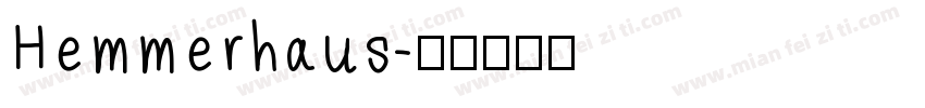 Hemmerhaus字体转换
