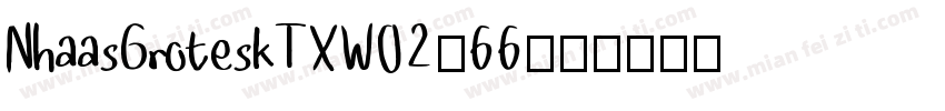 NhaasGroteskTXW02-66字体转换