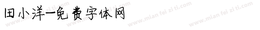 田小洋字体转换