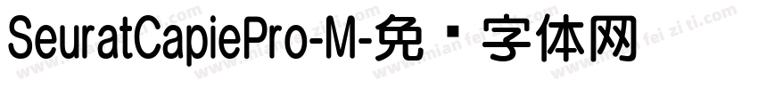 SeuratCapiePro-M字体转换