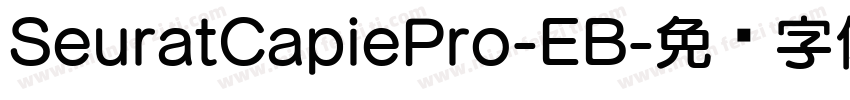 SeuratCapiePro-EB字体转换
