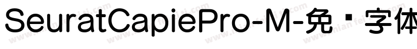 SeuratCapiePro-M字体转换