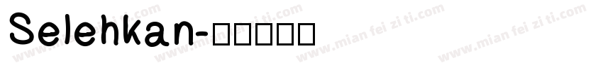 Selehkan字体转换