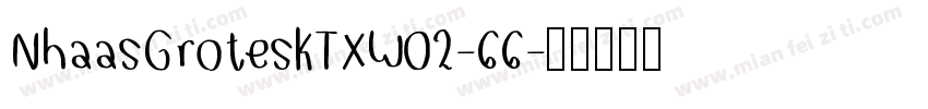 NhaasGroteskTXW02-66字体转换