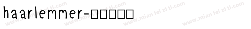 haarlemmer字体转换