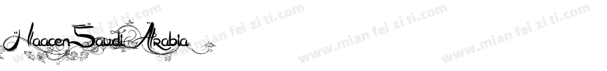 HaacenSaudiArabia字体转换
